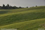 Tuscany