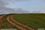 Tuscan countryside