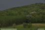 Tuscan countryside