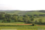 Tuscan countryside