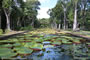 Sir Seewoosagur Ramgoolam botanical garden