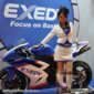 Motor Show Girls
