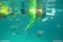 Thailand Snorkelling