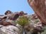 Red Rock Canyon