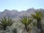 Red Rock Canyon